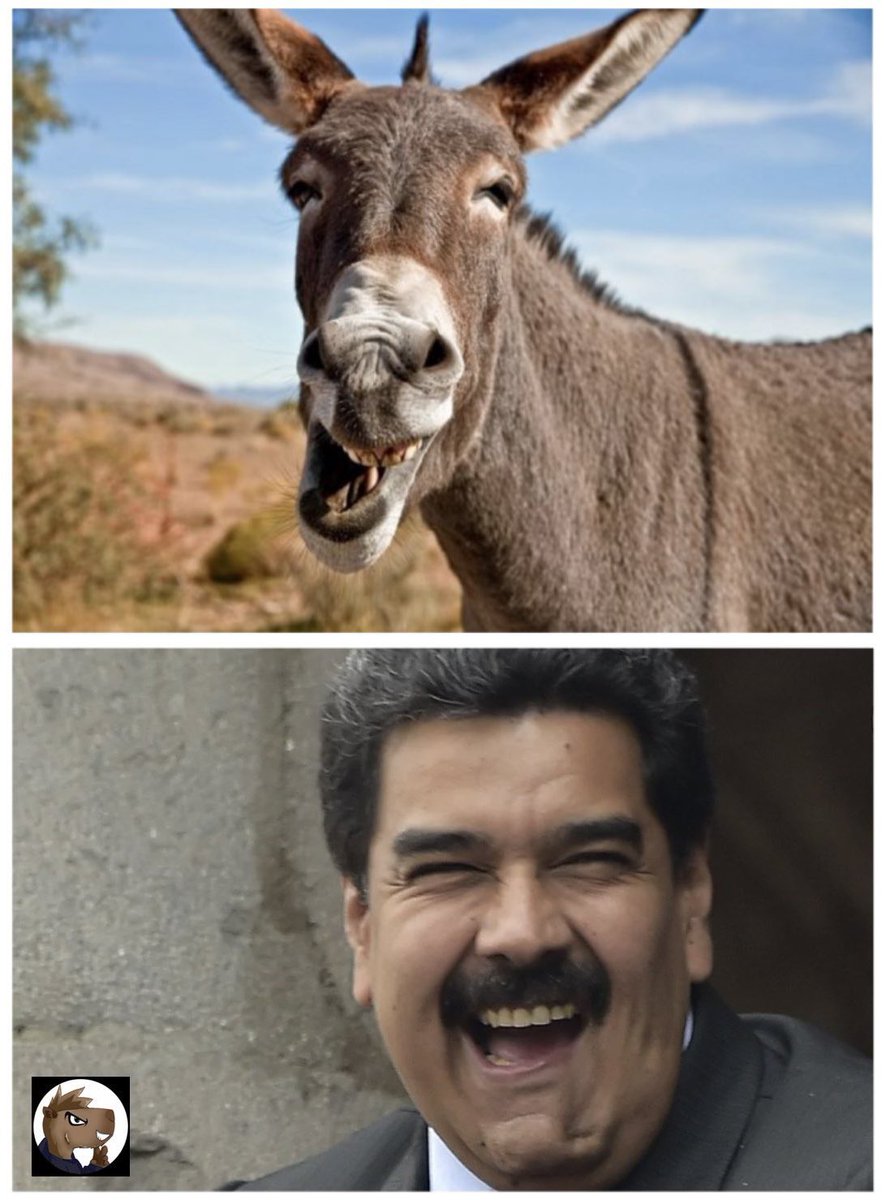 Es que hasta la risa lo delata