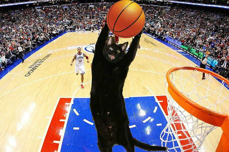 BichoSoldier's tweet photo. 🏀🐱 Nothin' but net! Our $GoalCatCTO cat just scored big time! Ready to join the winning team in the meme coin game? Let's take this to the moon together! 🚀🌕 #GoalCatCTO #BasketballMeme #CryptoSwish #NextBigShot https://t.co/OubiWYE9Hp