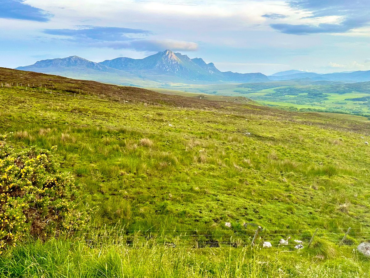 Joyce Campbell tweet media