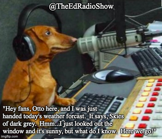 TheEdRadioShow's tweet photo. #radio #dogs #HappyHourVibes #SODG #ambient
1 of 4 https://t.co/01OAOlwicd