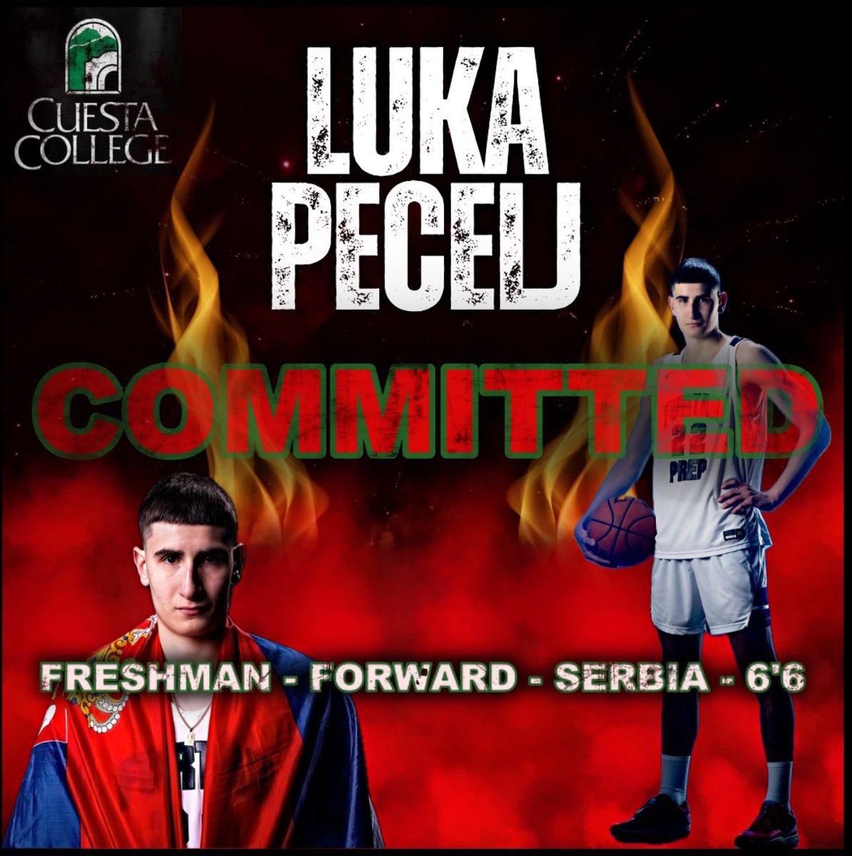 Luka Pecelj tweet media