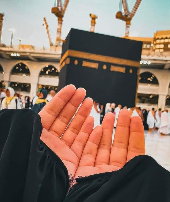 Uook27's tweet photo. غدًا يوم التروية،
روى الله قلوبكم ببكاء الإجابة،
وحياتكم بالأقدار السعيدة،
وأبعد عنكم هم الدنيا وضيق الحياة..

بلّغكم الله يوم عرفة
وجعل لكم فيه دعوةً لا تُردّ ♥️ https://t.co/Q7OSqRrhhK