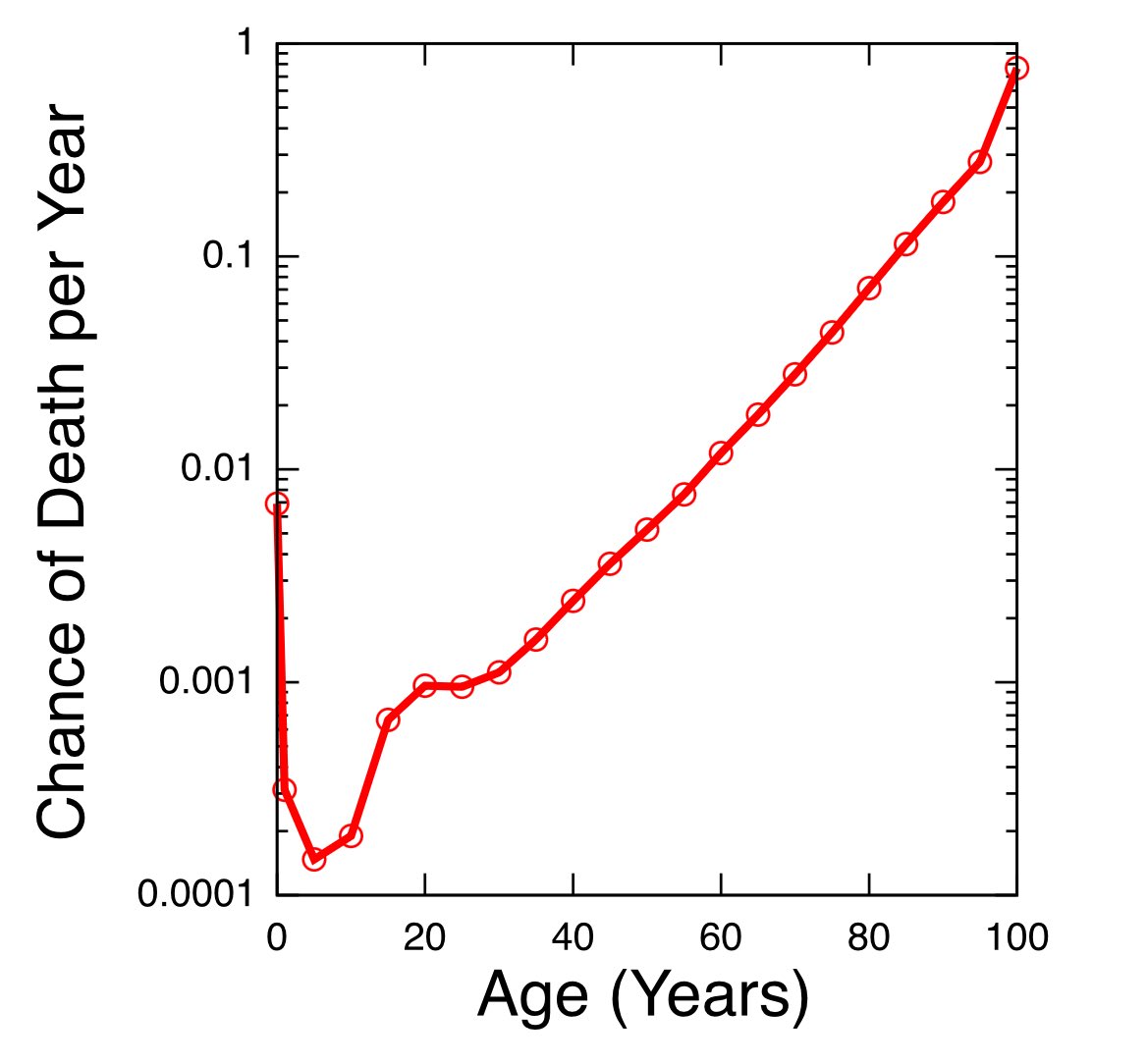 Richard Ngo tweet media