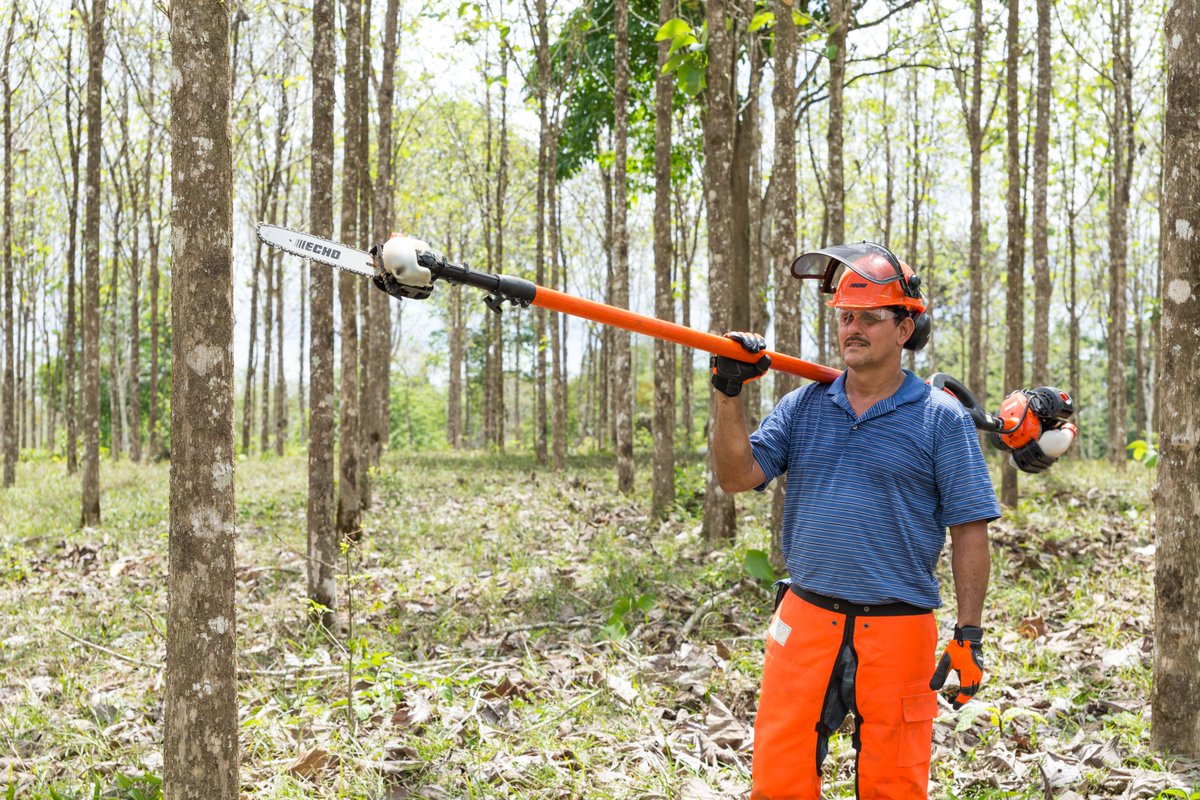 echo_mxo's tweet photo. ¡Conoce nuestra motosierra Podarramas #ECHO PPT-266, 25.4CC!
No le temas a la poda 🌳

💥¡Descubre el poder y la precisión en cada corte con la Podadora ECHO!💥

#Poder #Podadora #Echo https://t.co/e5dvalgXwa