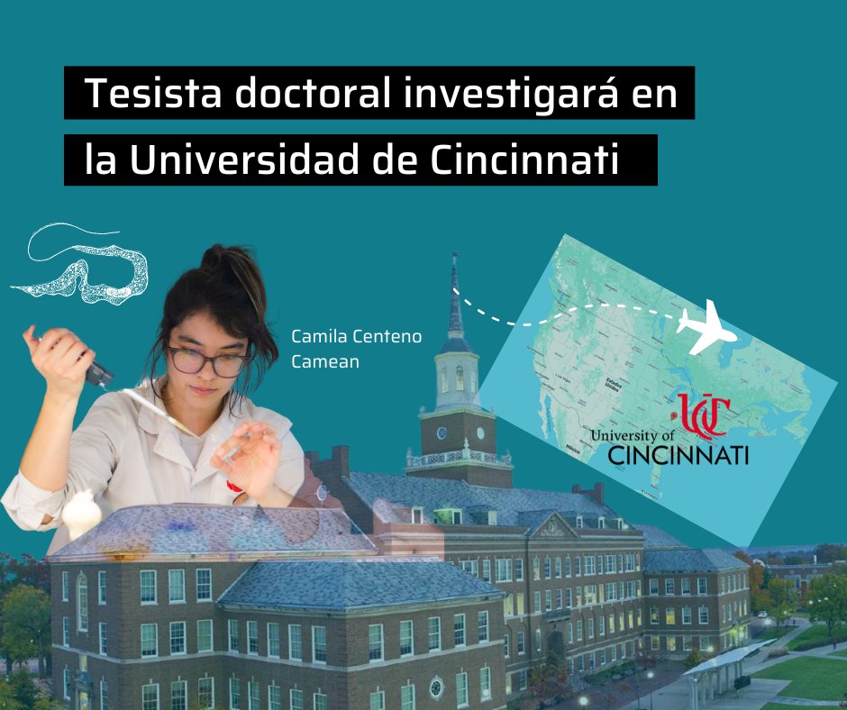 Escuela de Bio y Nanotecnologías tweet media