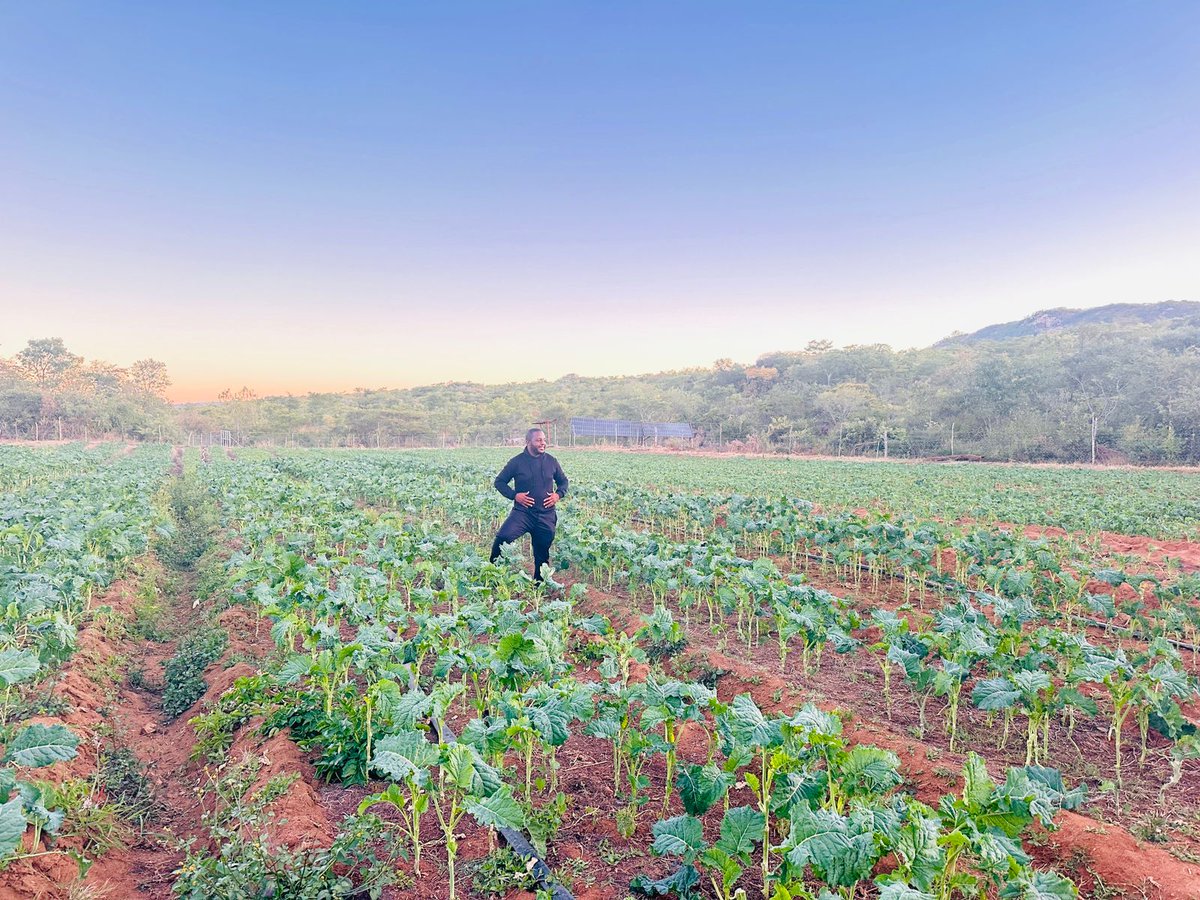 villageadv's tweet photo. Village inspiration with @valezinhumwe. The village Agenda marches on . @chigumbu_
@mutasao @mavhairemt
#Greatthingsarecoming https://t.co/sGwYIot9S6
