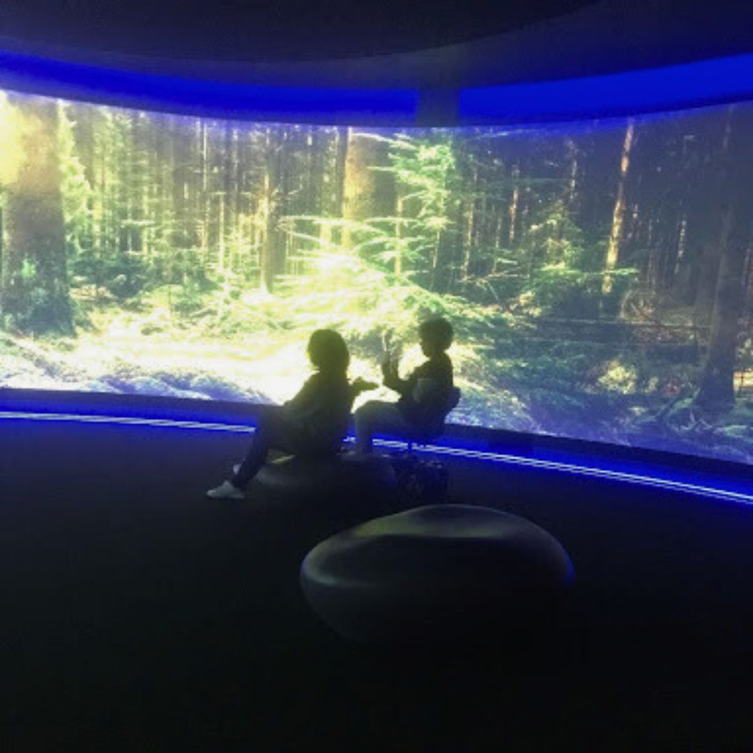 Literacy OKC tweet media