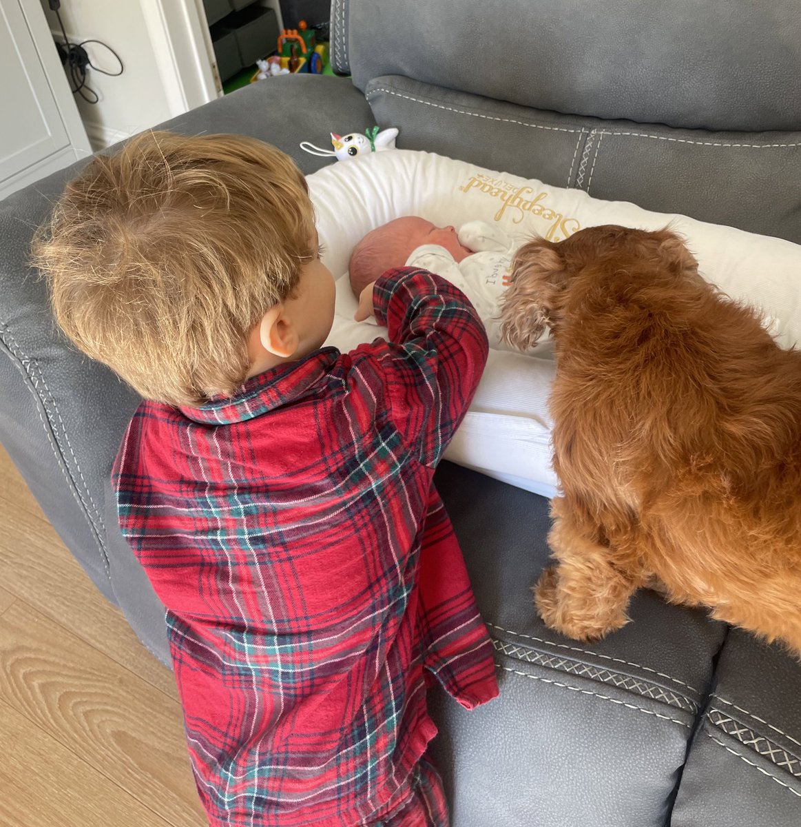 Kady Wardell tweet media