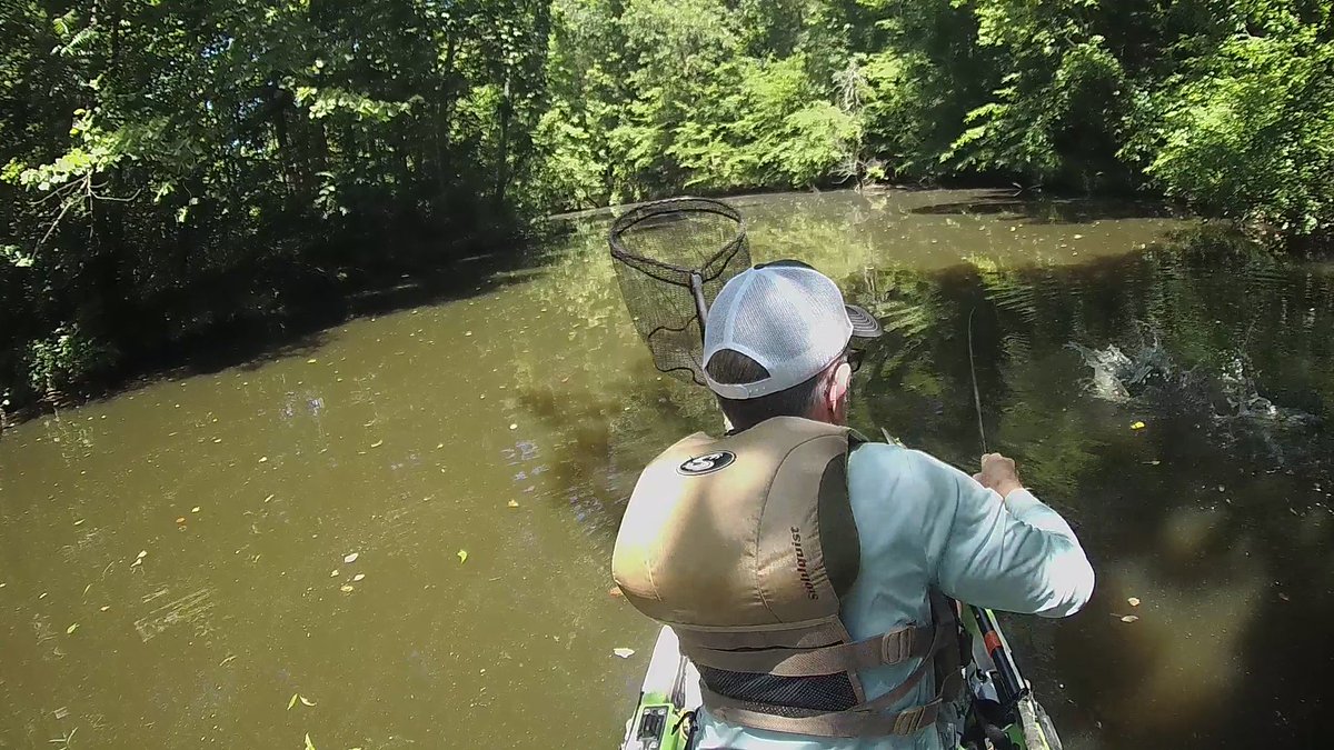 miacalva's tweet photo. Out of the darkness and into the net...
Reviewing some footage from last week's #CCKF event, I noticed how my best fish of the day was the result of a great cast into a small window, but also one that I nearly botched by reaching for the net too early.
Technique : it matters! https://t.co/QcZ8igBNDW