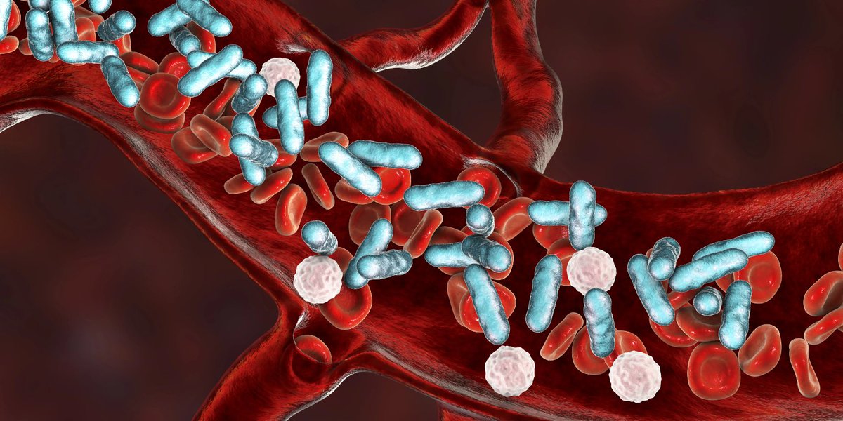ChEnected's tweet photo. #GlycoMimetics reports promising results from drug trial https://t.co/fhhEq0qQeI #uproleselan #chemotherapy https://t.co/H6Pa586eXj