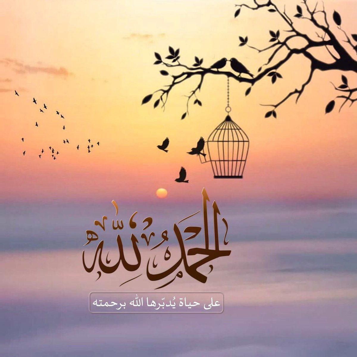 ‏﮼نـايـف . ‎ tweet media