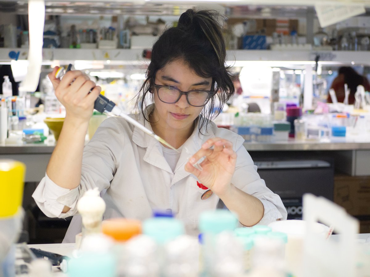 Escuela de Bio y Nanotecnologías tweet media
