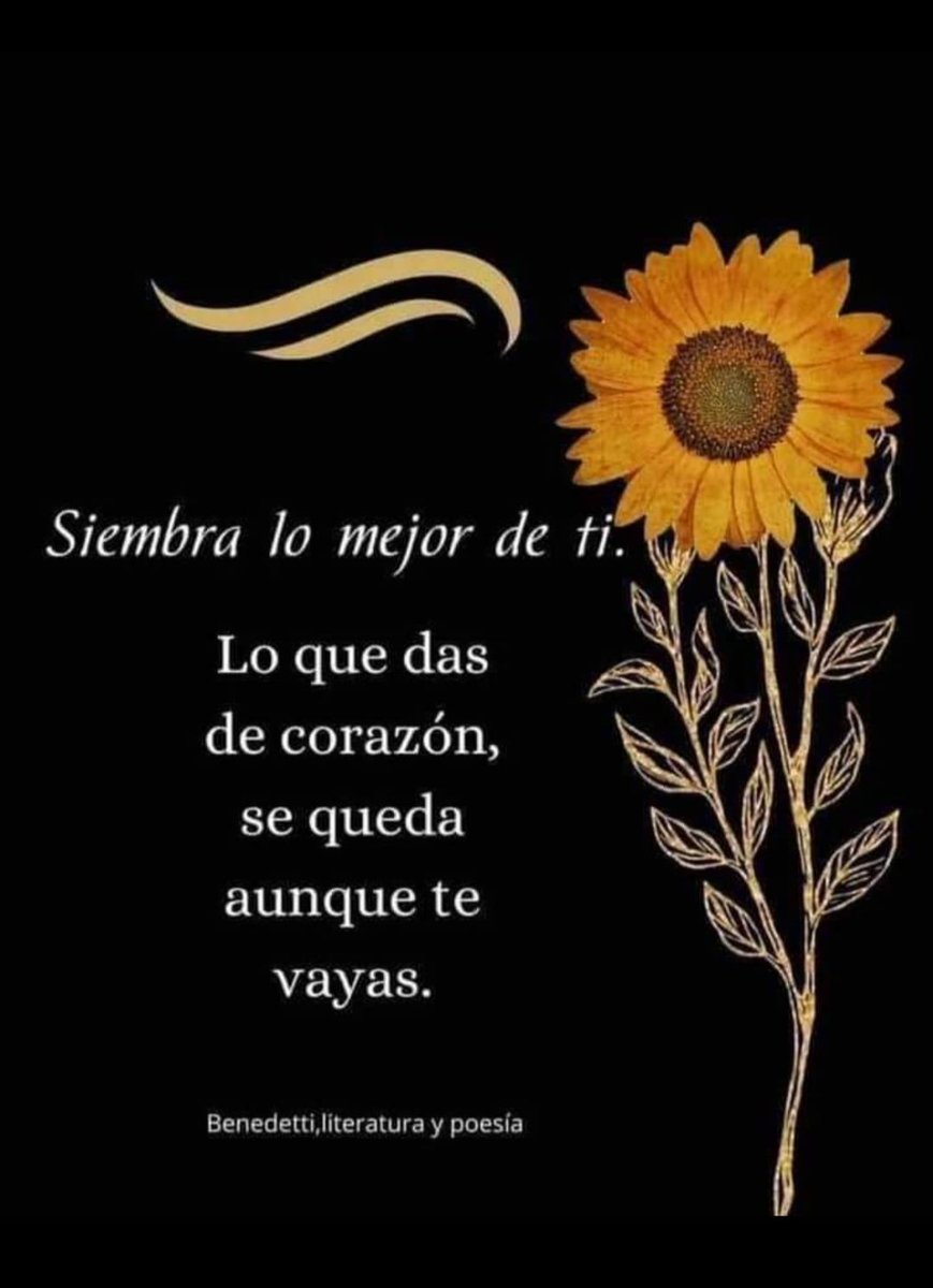 BEA #TeamSilFriends (@beaguar) on Twitter photo 