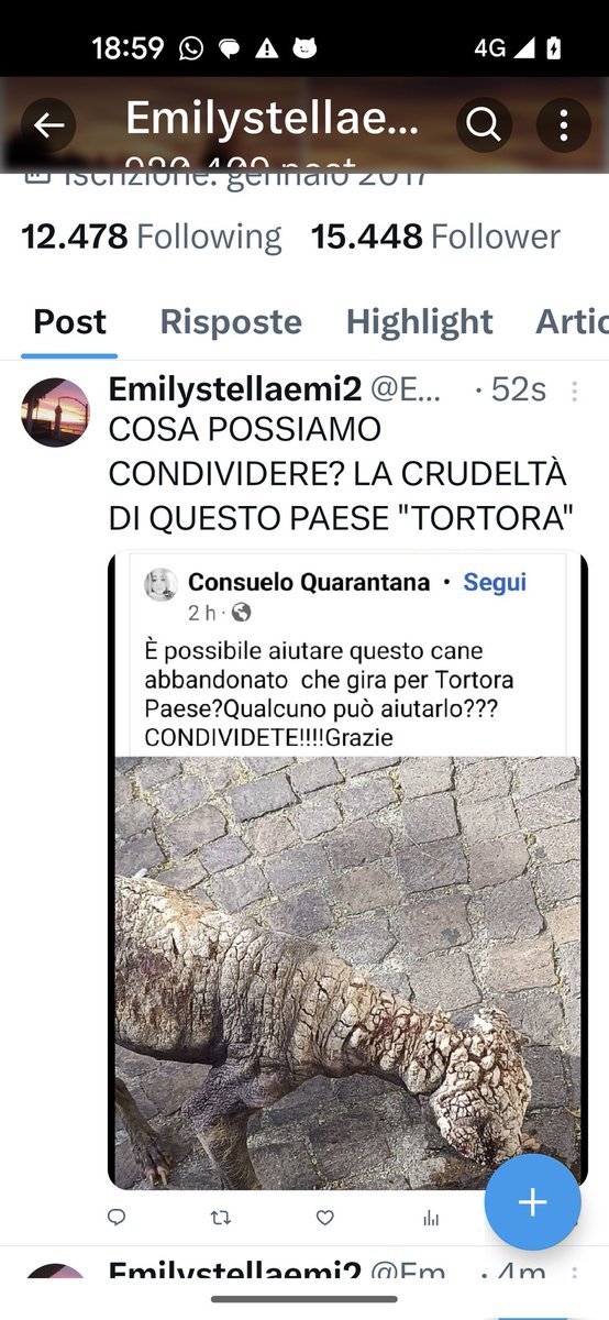 Emilystellaemi2's tweet photo. TORTORA PROVINCIA DI COSENZA CALABRIA.
MA IL CUORE DOVE LO AVETE PERSO? https://t.co/VnyTvf5LfV