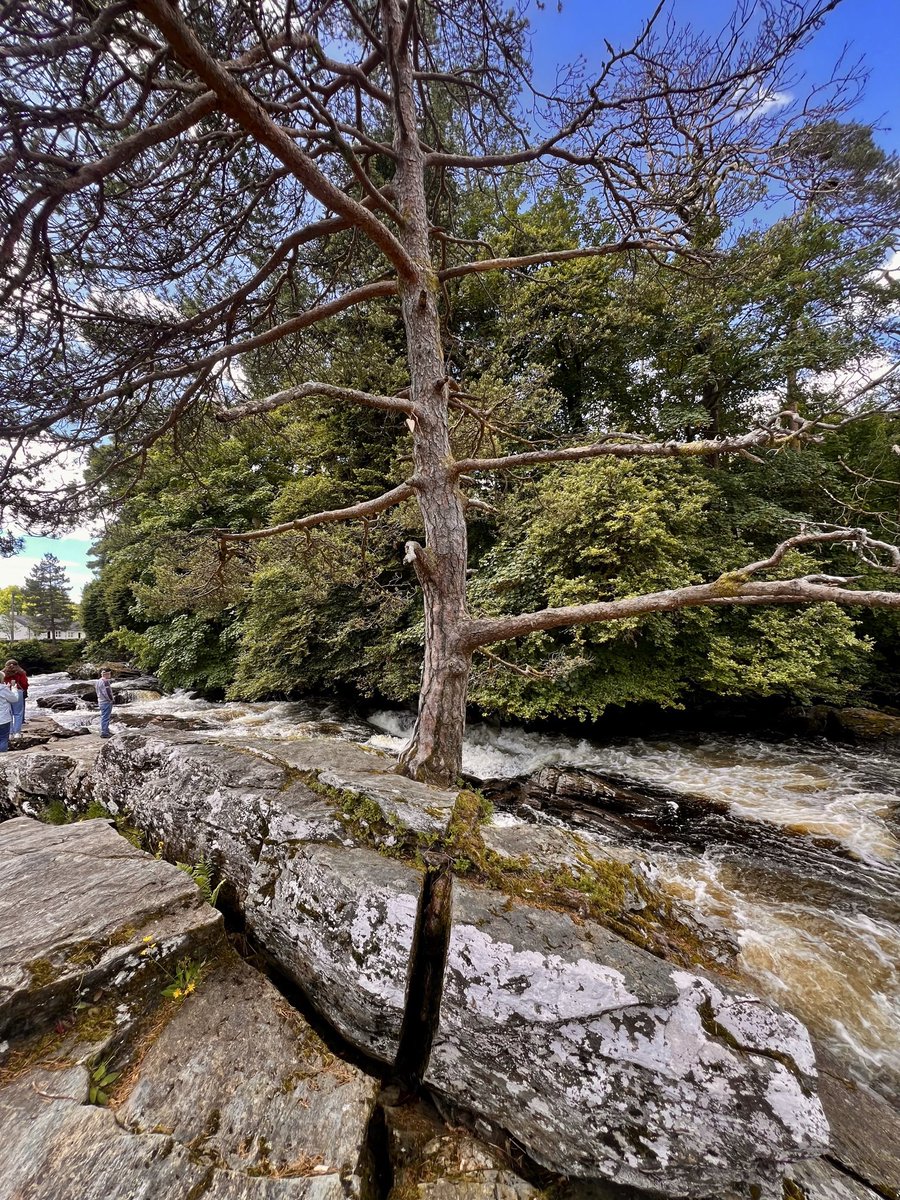 Kilted guide tweet media