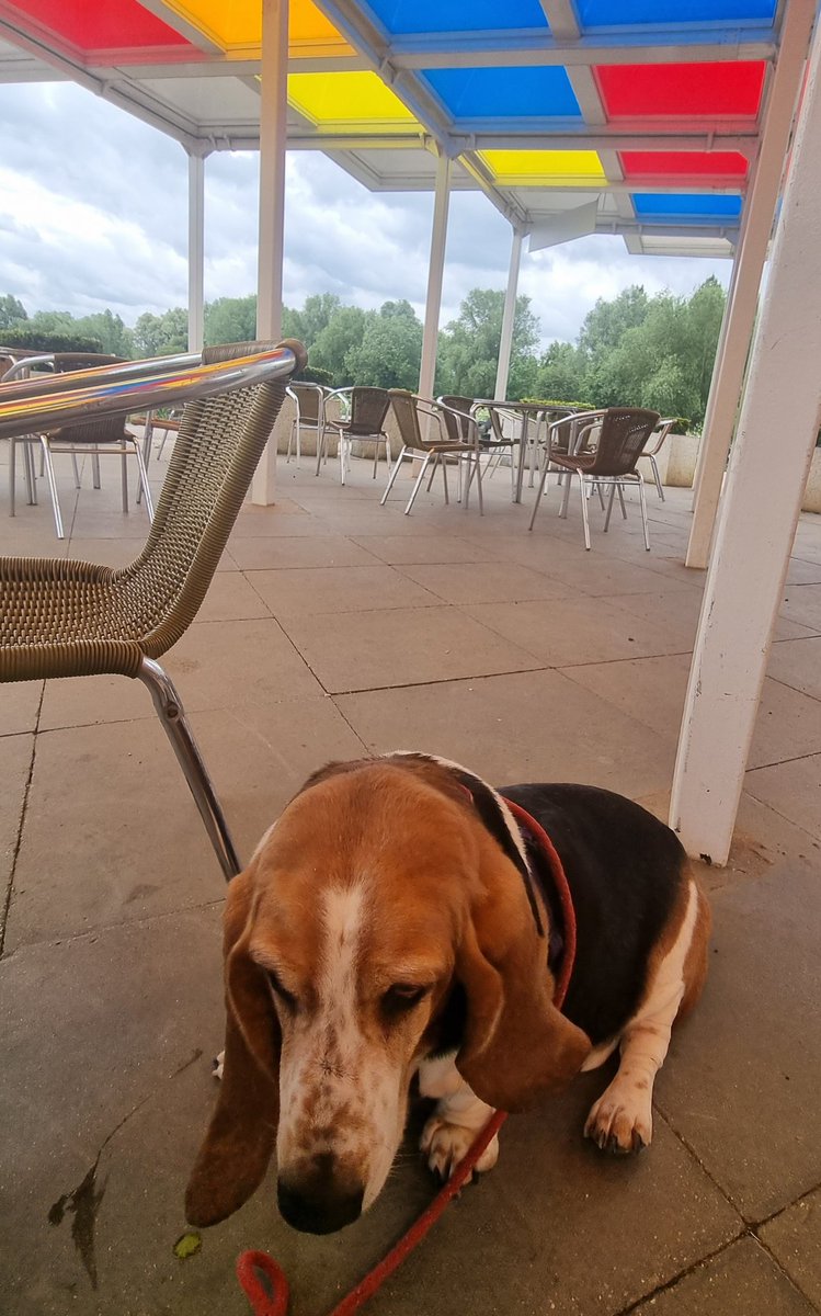 John Thompson, fundraising consultant tweet media