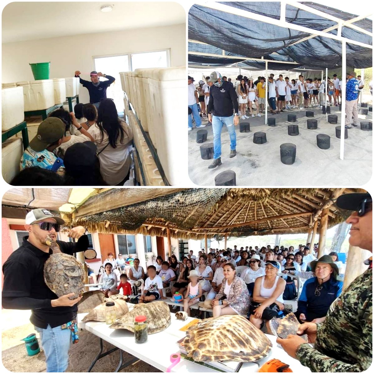SamuelHdezF's tweet photo. Agradecemos al Arq @DAVIDPAYANGRO Srio de @SEBISED_ x el apoyo a la comunidad escolar de @CobaedVillas  para que alumnos realizaran este viaje al Santuario Reserva Natural "El Verde Camacho" y lograran sus trabajos de fin de ciclo, igual a madres y padres de familia y maestr@s. https://t.co/aEOVH2jYDp