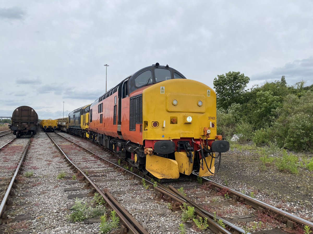 Michael Purchase tweet media