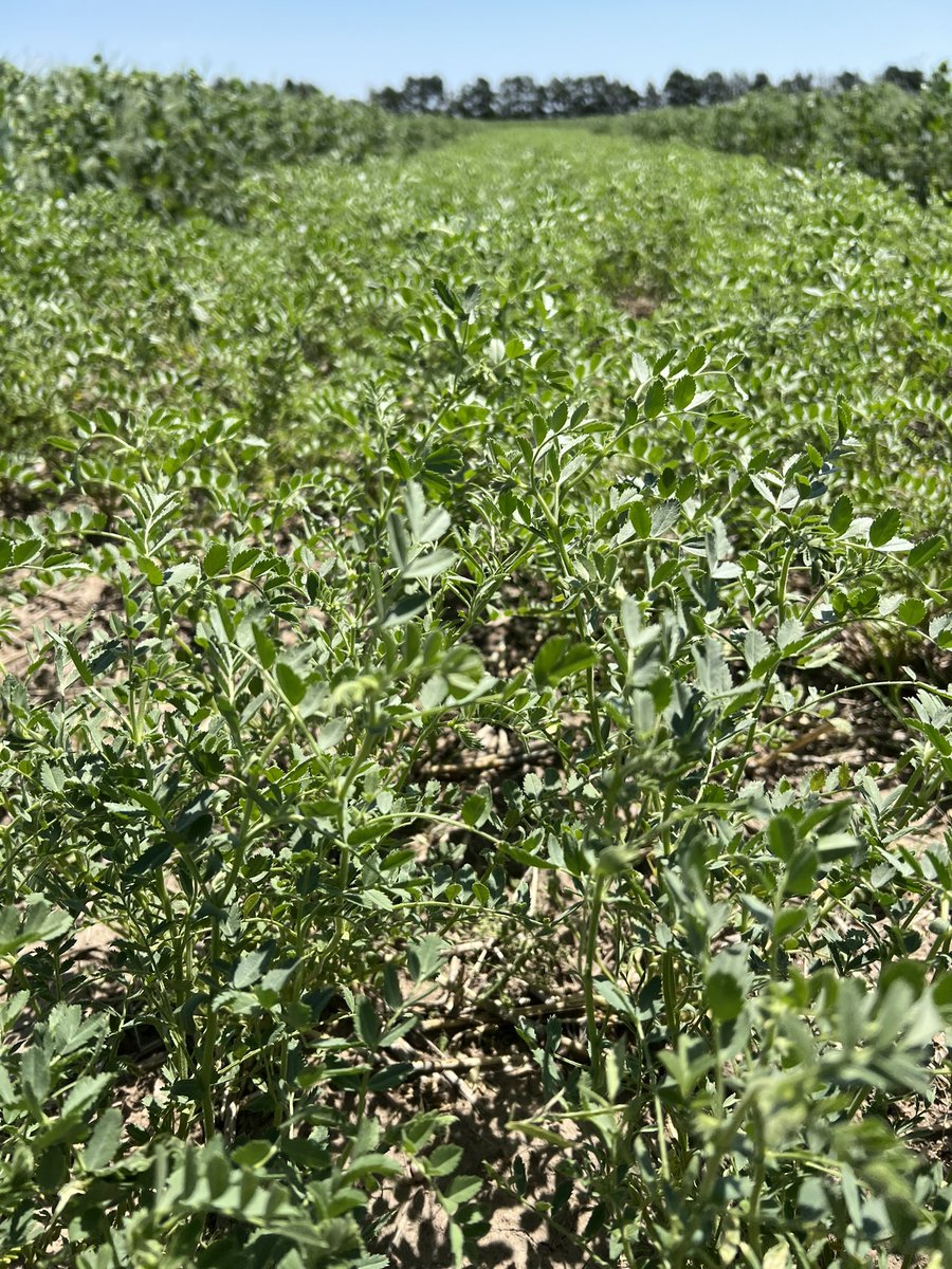 Dipak Santra tweet media