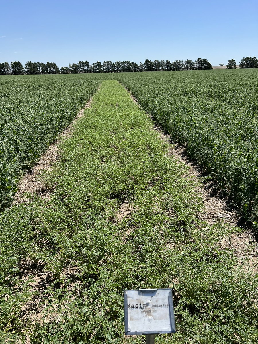 Dipak Santra tweet media