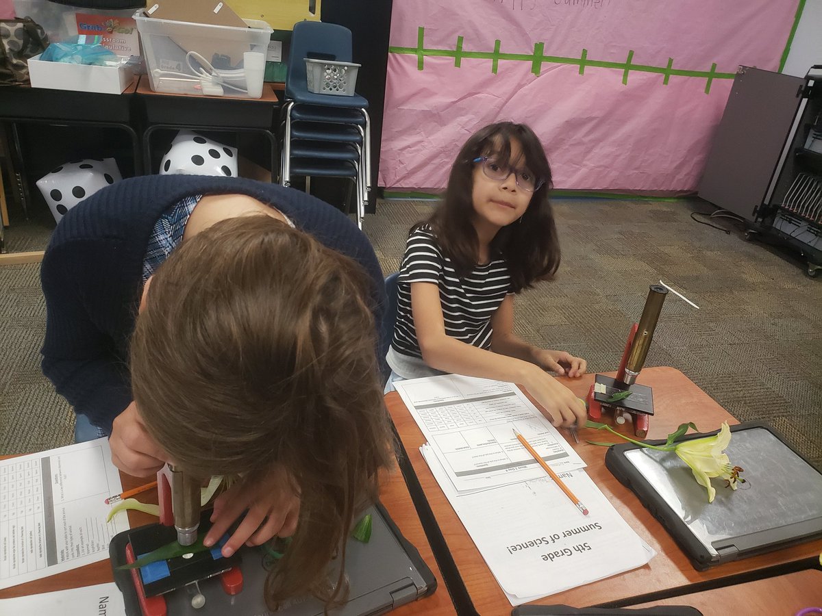 Best Day Ever! <a href="/ApopkaES_OCPS/">Apopka Elementary School OCPS</a> diving deeper into plant reproduction and parts by dissecting a flower. These girls shout out, "I feel like a scientist and I think I might want to be one!" Thank you <a href="/JillAdcock_OCPS/">Jill Adcock</a> 😍 #bestjobever