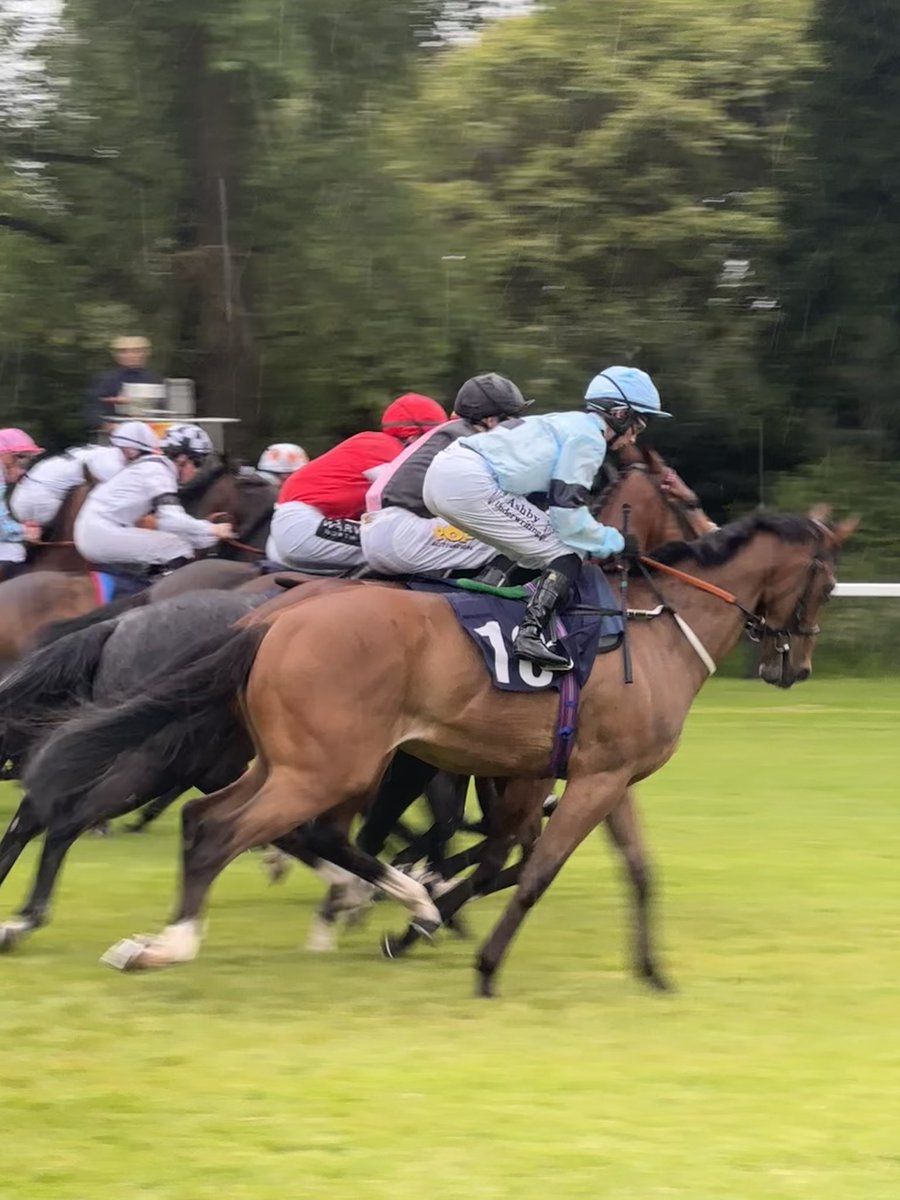 hotstonmoore's tweet image. Lovely day at Newbury Races with @fsplaw family law team - a great shame the horse “expert witness” let us down #familylaw #forensicaccountant