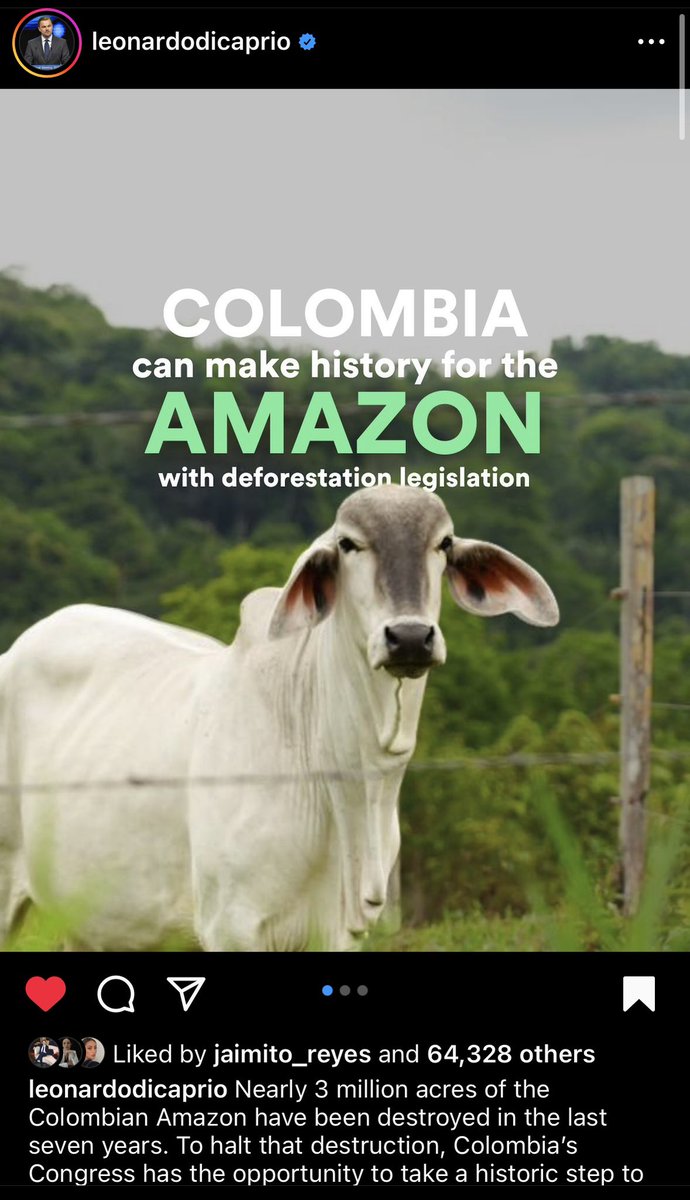 Natalia Reyes (@nataliareyesg) on Twitter photo 🚨Sabían que el proyecto #GanaderíaLibreDeDeforestación está a punto de hundirse en el <a href="/SenadoGovCo/">Senado de la República 🇨🇴</a>? Necesitamos se discuta URGENTE! Sería la herramienta más eficaz contra la deforestación en Colombia y pondría a nuestro país a la vanguardia🙏RT <a href="/IvanNameVasquez/">Iván Name Vásquez Senado</a> <a href="/PizarroMariaJo/">María José Pizarro Rodríguez</a> 🚨Sabían que el proyecto #GanaderíaLibreDeDeforestación está a punto de hundirse en el <a href="/SenadoGovCo/">Senado de la República 🇨🇴</a>? Necesitamos se discuta URGENTE! Sería la herramienta más eficaz contra la deforestación en Colombia y pondría a nuestro país a la vanguardia🙏RT <a href="/IvanNameVasquez/">Iván Name Vásquez Senado</a> <a href="/PizarroMariaJo/">María José Pizarro Rodríguez</a>