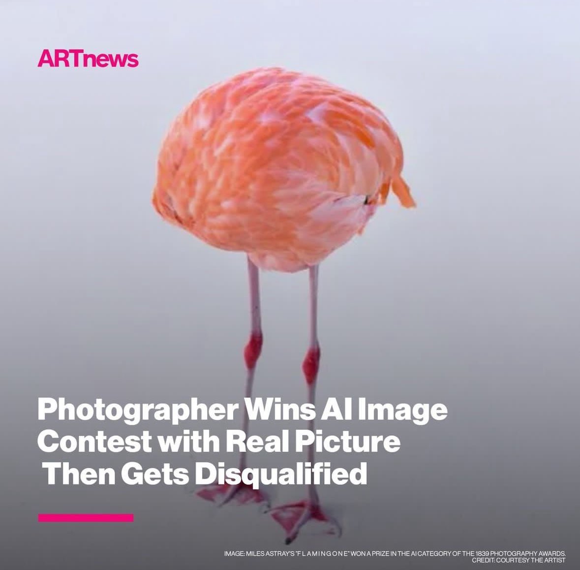 This is pretty amazing
