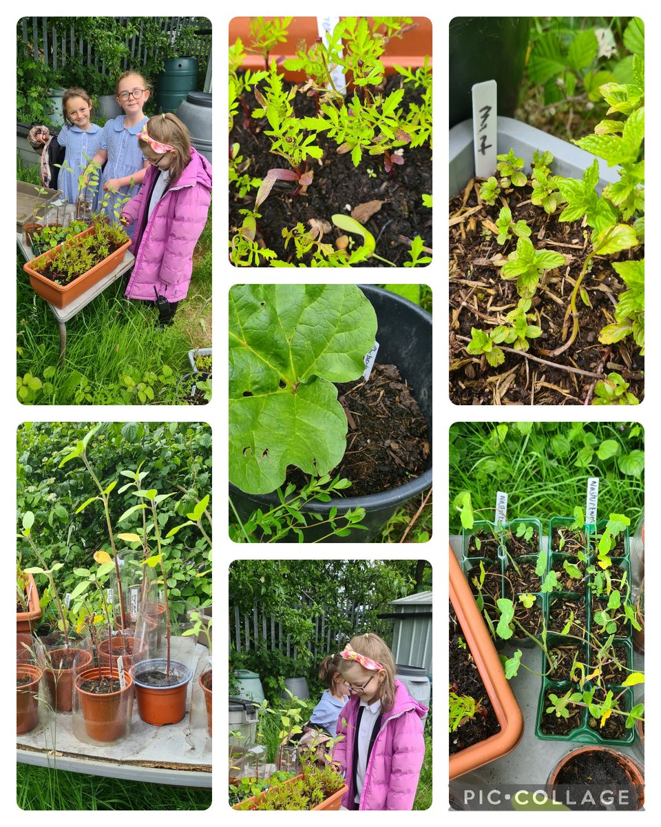 Mrspotterta@wb tweet media