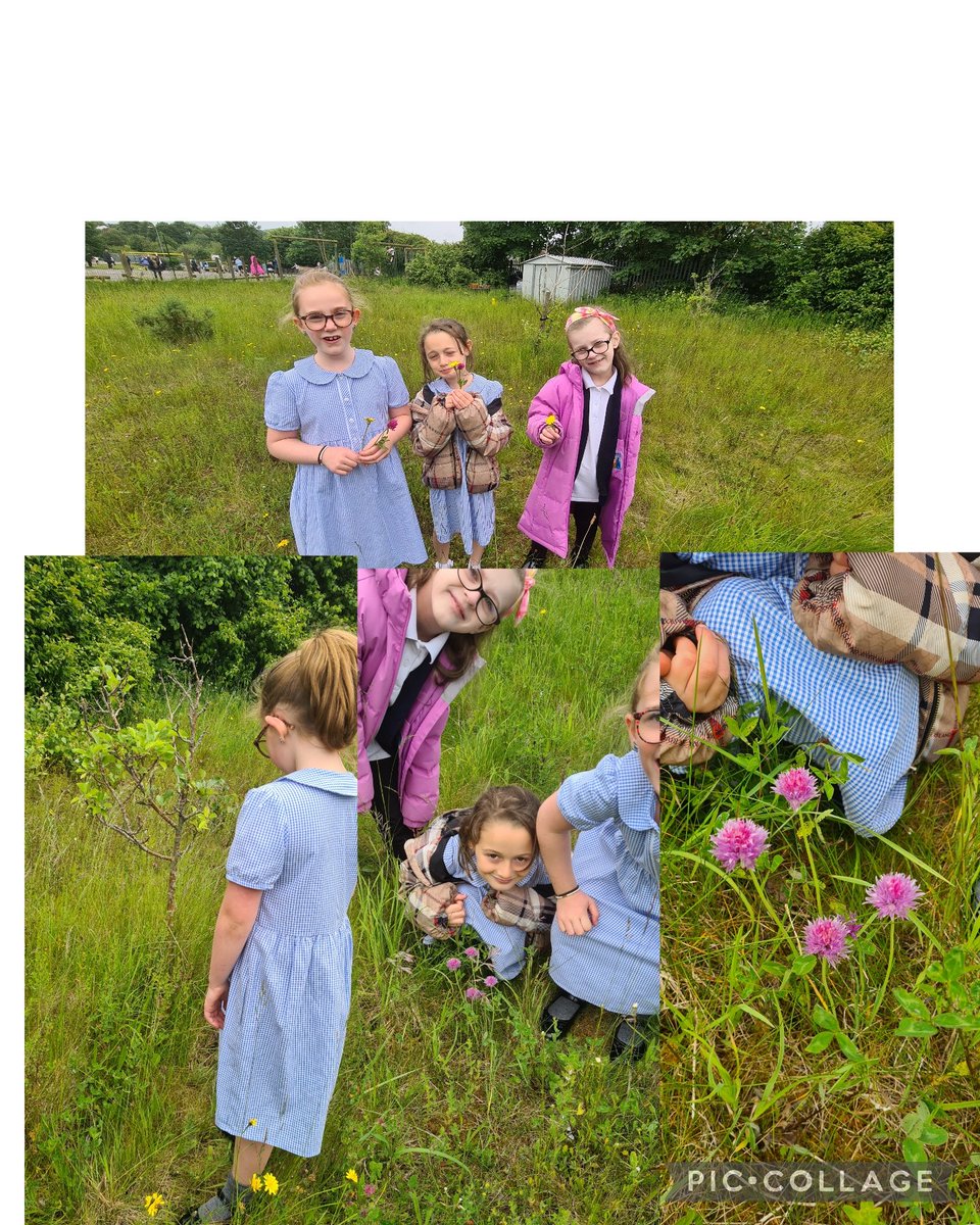 Mrspotterta@wb (@mrspotterta) on Twitter photo Gardening club this afternoon was lots of fun!
We currently have rhubarb, sunflowers π» mint, and tomato π
plants growing as well as some other plants, too! The children even picked a small bunch of wild flowers for themselves π
<a href="/WildBankPrimary/">Wild Bank Primary School π</a>
<a href="/MrsBMistry/">Bindya Mistry</a>
<a href="/WBHeadMissP/">Miss Postlethwaite</a> Gardening club this afternoon was lots of fun!
We currently have rhubarb, sunflowers π» mint, and tomato π
plants growing as well as some other plants, too! The children even picked a small bunch of wild flowers for themselves π
<a href="/WildBankPrimary/">Wild Bank Primary School π</a>
<a href="/MrsBMistry/">Bindya Mistry</a>
<a href="/WBHeadMissP/">Miss Postlethwaite</a>