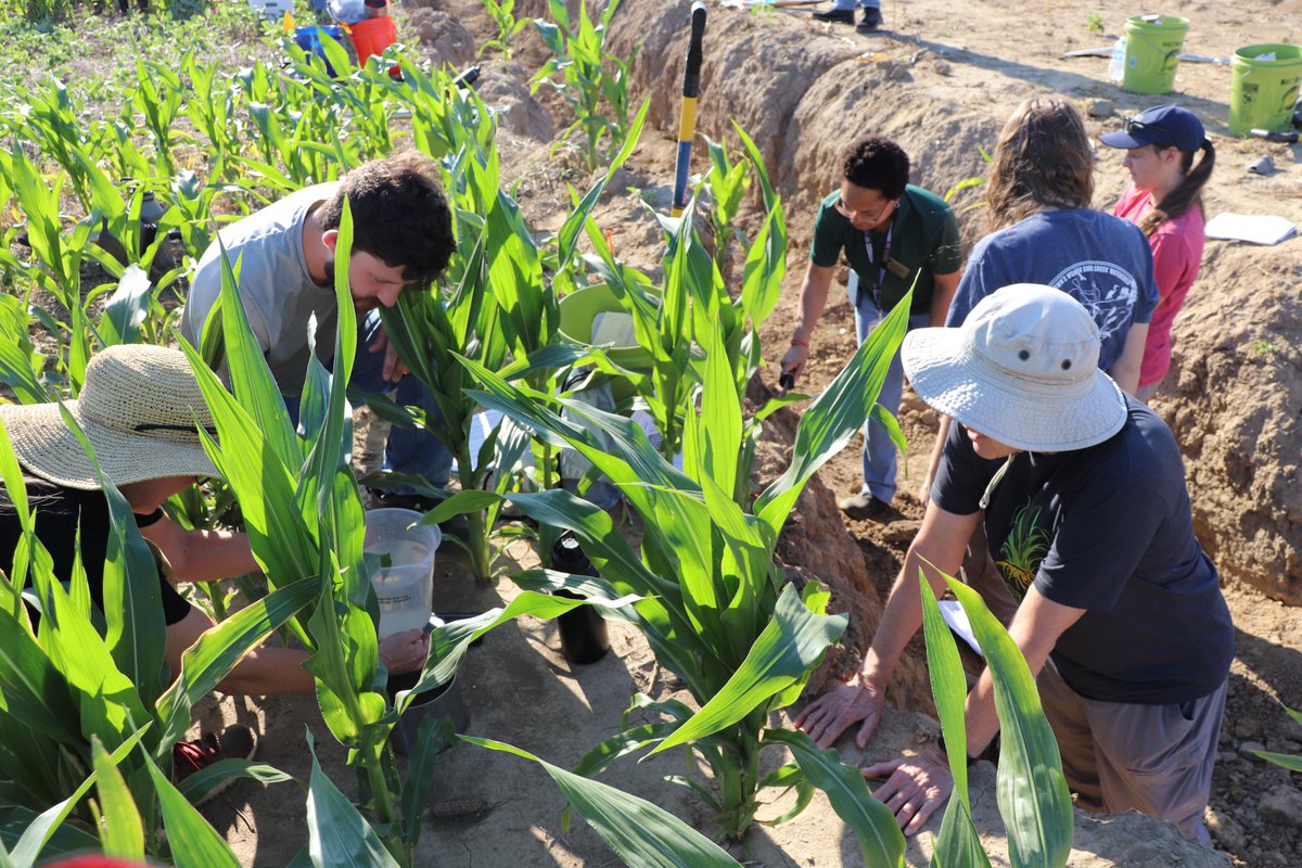 Purdue Agronomy Extension tweet media