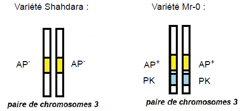 SVT_Besancon's tweet photo. La #banquedesujets de #SVT s'enrichit du sujet 2 d'Asie - Session 2024 #Bac2024
Ex. 1 : Etude de roches sédimentaires et variations climatiques du passé.
Ex.2 : Une protéine « poison » du grain de pollen.
https://t.co/DjSMeM3fRS https://t.co/iaEwYYjbKY