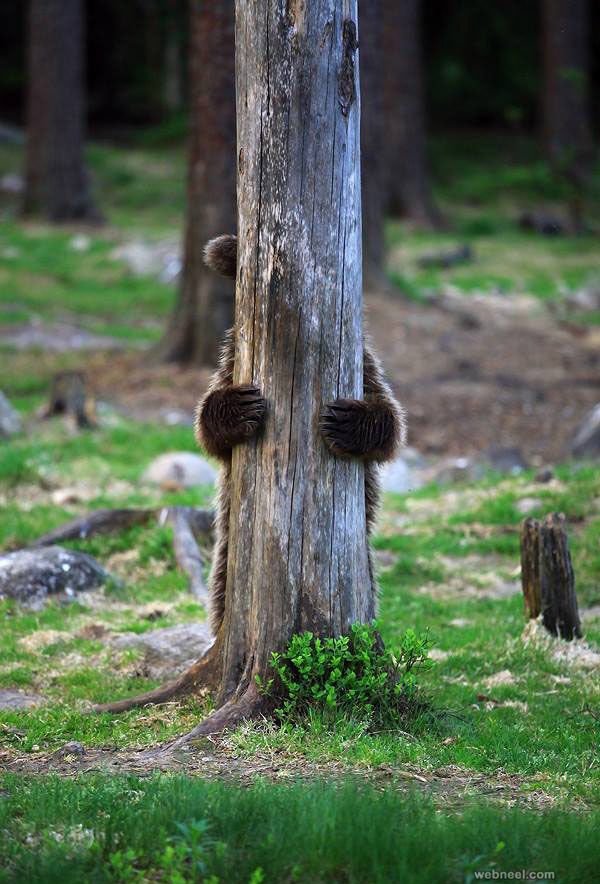 vivaneil1234's tweet photo. Guess who.🧸😂🫶 https://t.co/6NMb1J9zAf