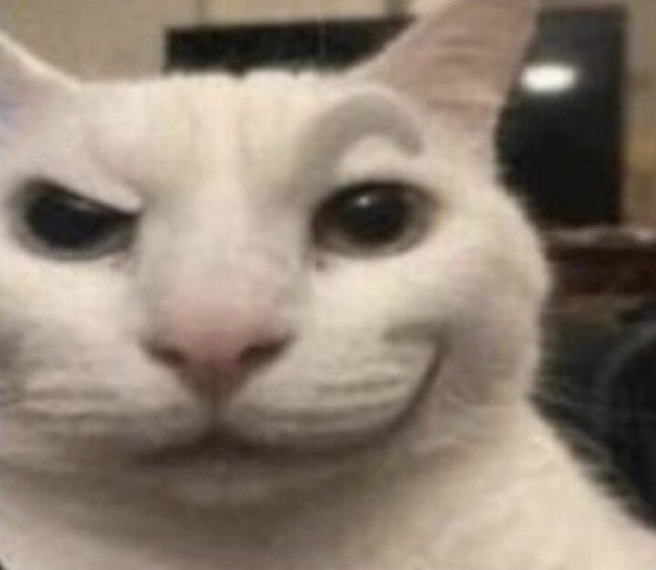 sometimes I gotta remind the oomfs that I’m cute boy that is also a girl