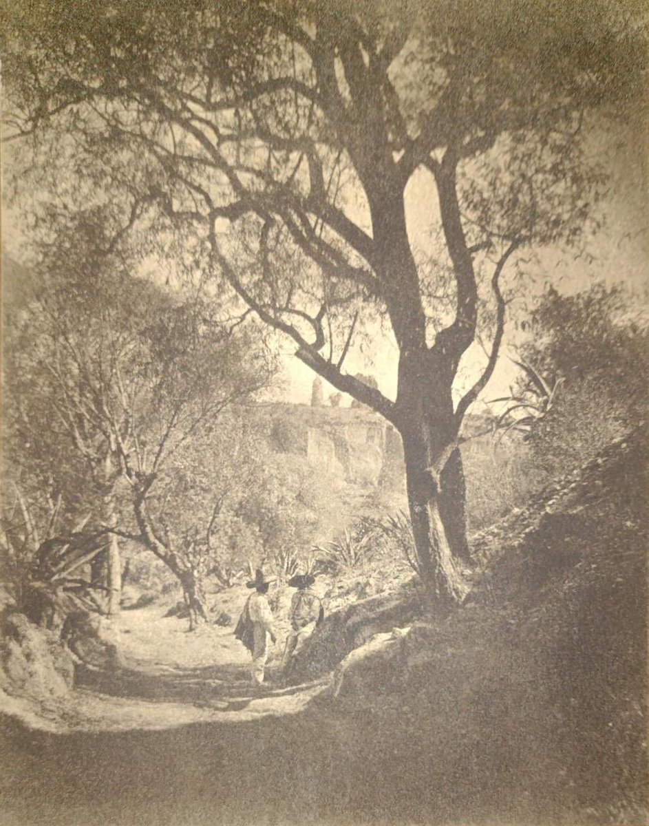 RicardoBSalinas's tweet photo. Hoy en @ColeccionesRSP quiero platicarles acerca de un fotógrafo impresionista francés, que llegó a México a principios del siglo XX.

Edmond Hamel trajo consigo una amplia experiencia en el arte de la fotografía, adquirida por años en París y estuvo activo por cerca de 20 años, casualmente vivió de primera mano el proceso de la revolución mexicana (resistió a la tentación de fotografiar los estragos de este movimiento). Hamel capturó con su lente a los habitantes de México en su propio entorno, con sus vestimentas tradicionales y paisajes increíbles.

Hoy les comparto algunas imágenes (en técnicas de gelatina de plata y platino) compilados entre 1903 y 1919 en un volumen conocido como "Album de Photographie"