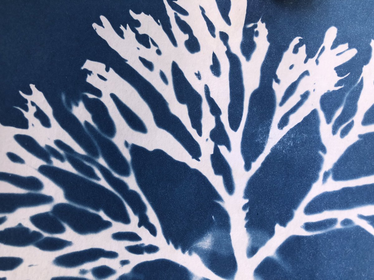 Mor poets tweet media