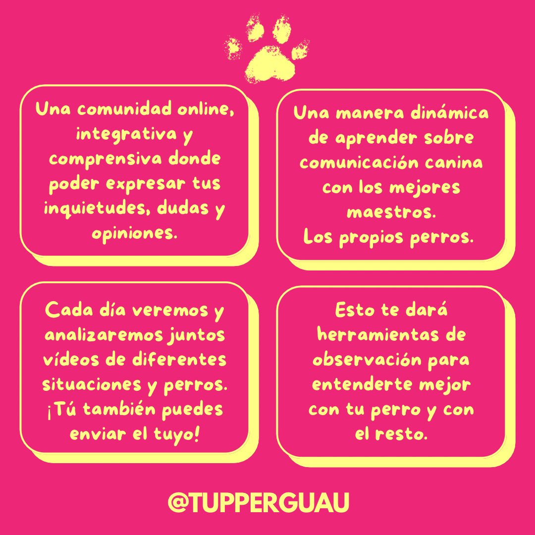 Polly_Dreams's tweet photo. Un grupo de WhatsApp limitado en el que aprender de comunicación canina de manera participativa y asesorada 💛 https://t.co/dOdKgBNGC5