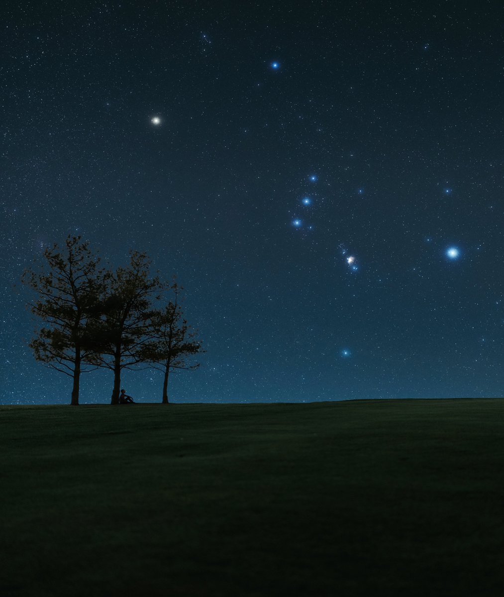 uhd2020's tweet photo. Orion 🥹 https://t.co/BwNBRP2a5d
