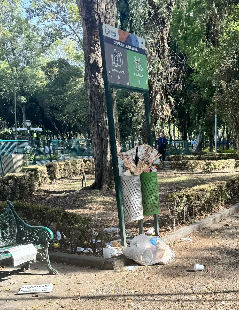 🩵Milo mi Amor🩵 tweet media