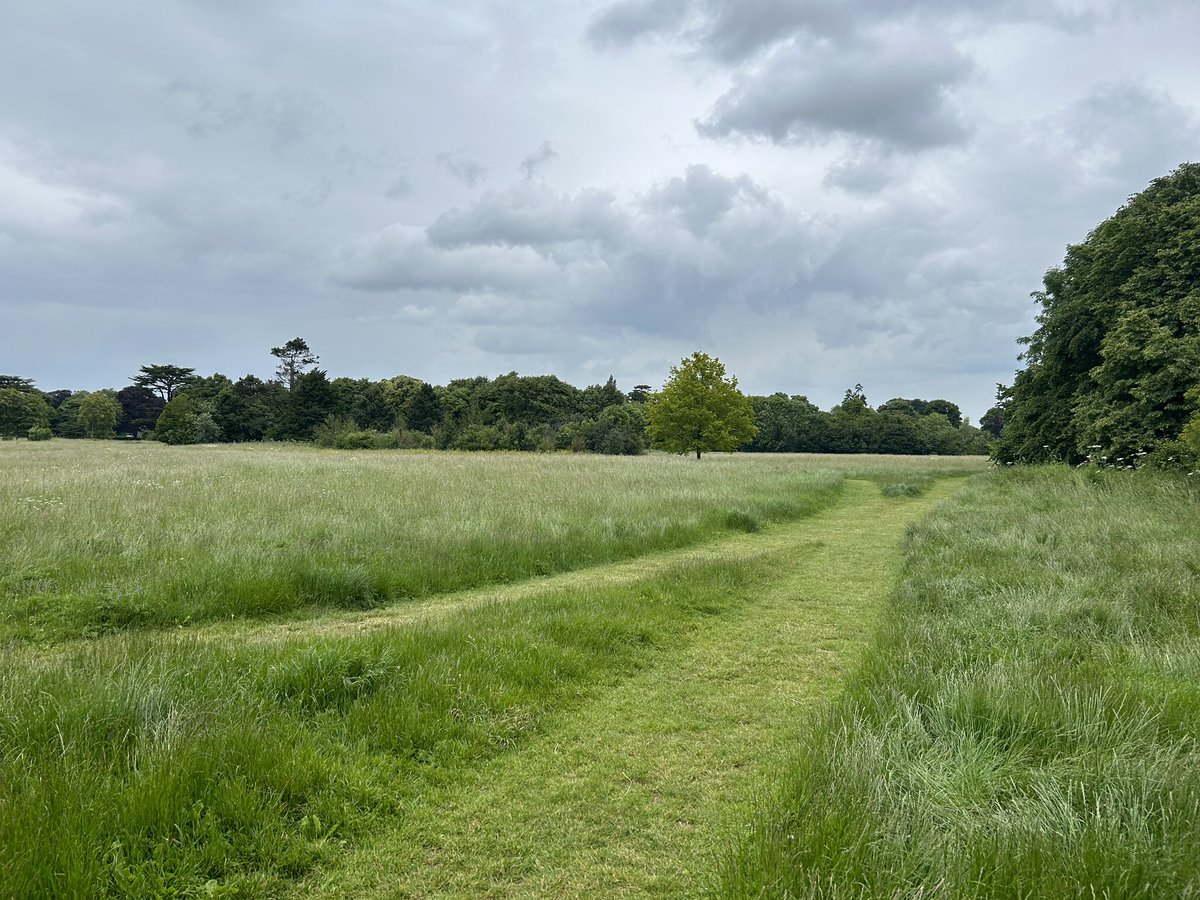 Second public park of the afternoon in <a href="/letstalkcentral/">Central Bedfordshire Council</a> #CentralBedfordshireCouncil &amp; <a href="/HoughtonRegisTC/">Houghton Regis Town Council</a>. Wild and buzzing Houghton Regis Park. Restored 2018. Looking fabulous. 👏👍