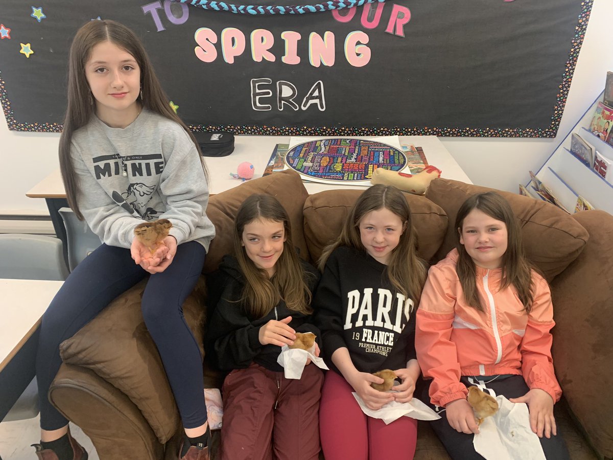 JaneWilliams77's tweet photo. The chicks🐤 have taken over @FatimaAcademy.
Beyond blessed to be able to share this experience with our students 
#babychicksinschool
@LetsTalkScience 
@NLSchoolsCA 
@nltatesic 
@NLTeachersAssoc 
@brilliant_labs https://t.co/0csFiuEY55