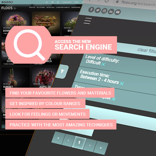 With our advanced search engine 🔍 you can:

- Find your favourite flowers and materials
- Get inspired by colour ranges
- Look for feelings or movements
- Practice with the most amazing techniques

Have you tried it yet? 🤩
