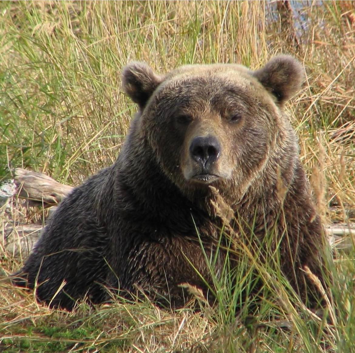 When you’ve already explained everything in the email and they reply, “Let’s get on a call and discuss this.”