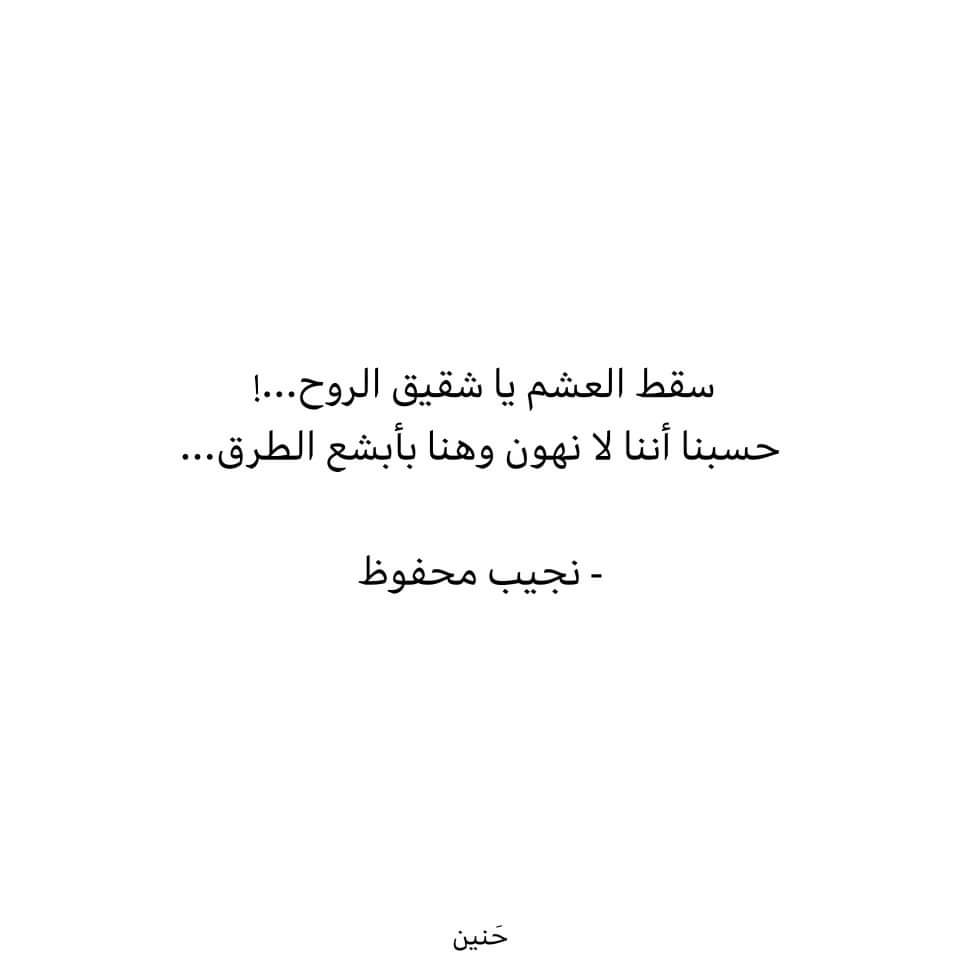 avocato_arar's tweet photo. https://t.co/xLg9lUcO61