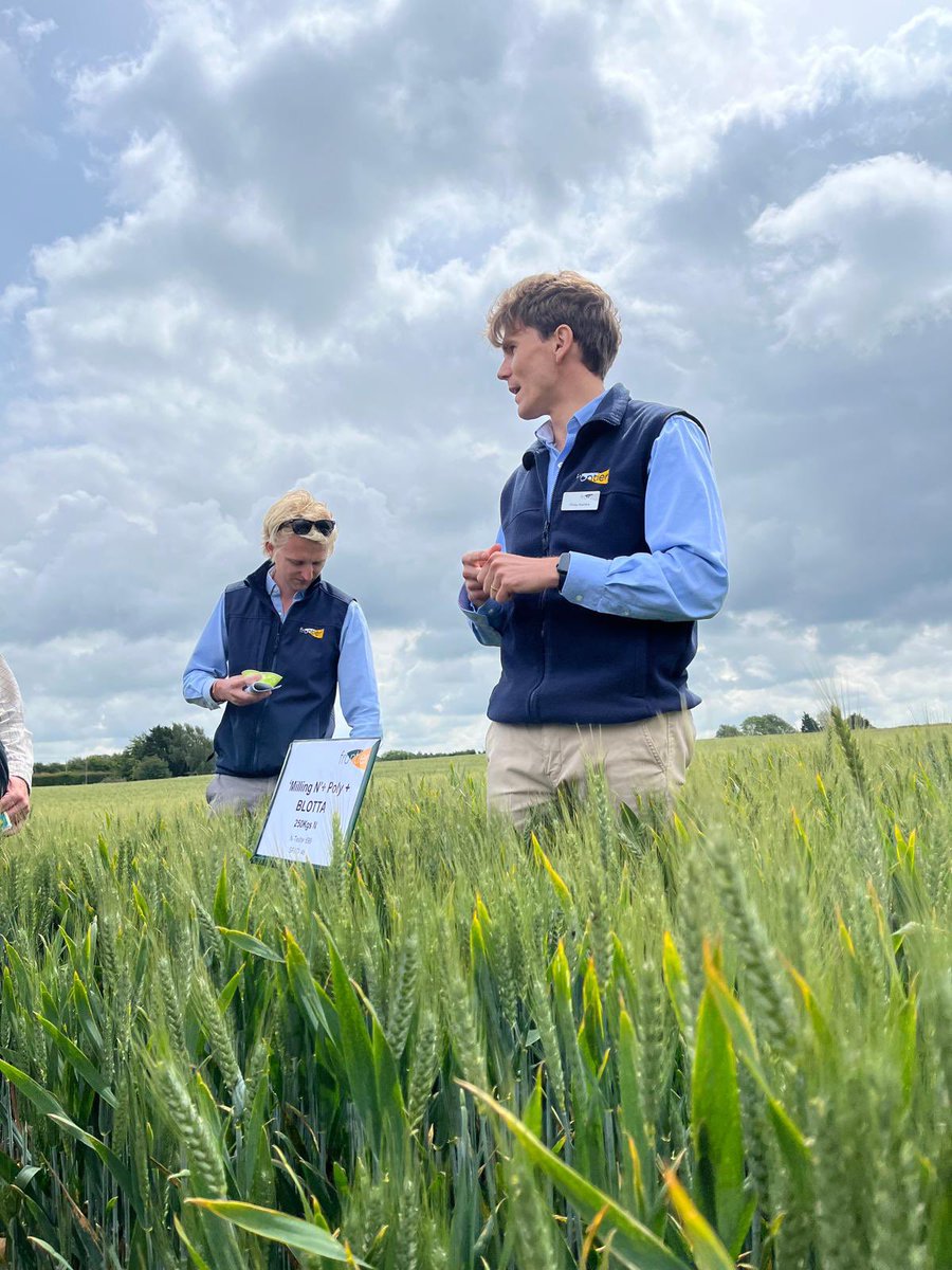 FrontierAg's tweet photo. Thank you to everyone who came along to our Kent #3DThinking open day!
Some brilliant discussions amongst the plots as our team shared key learnings from our trials this season, covering variety performance, nutrition strategies, input programmes and overall farm resilience 🌱 https://t.co/VmkjE39bfX