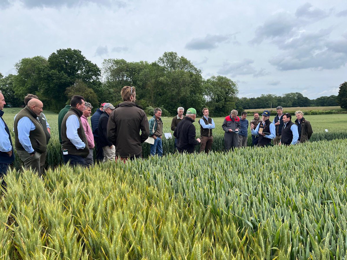 FrontierAg's tweet photo. Thank you to everyone who came along to our Kent #3DThinking open day!
Some brilliant discussions amongst the plots as our team shared key learnings from our trials this season, covering variety performance, nutrition strategies, input programmes and overall farm resilience 🌱 https://t.co/VmkjE39bfX