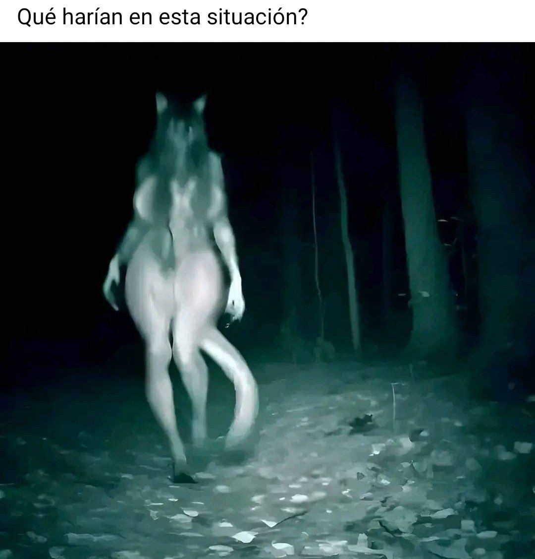 M4L4 du Waffle🔞 (@m4l4duwaffle) on Twitter photo 