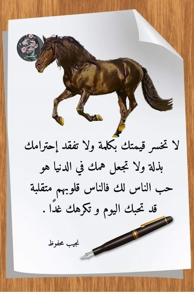 المهاجر ،🥀🌹🥀🌺 (@mydwww12228) on Twitter photo 