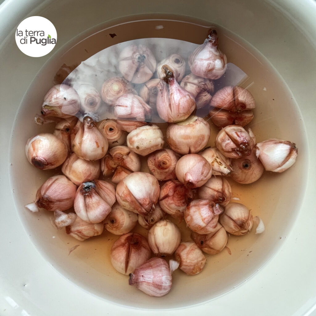 In Puglia we call slightly stupid people "pampasciuni" which is a typical Apulian product #g7 laterradipuglia.it/ricette-puglie…