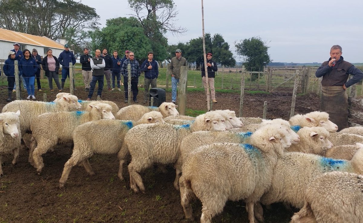 SUL_uy's tweet photo. 📸 Imágenes de la Gira Ile de France 2024🐑 https://t.co/gJymljSpSs
